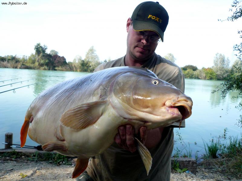 --���� 20 ��. - ������� (����������)