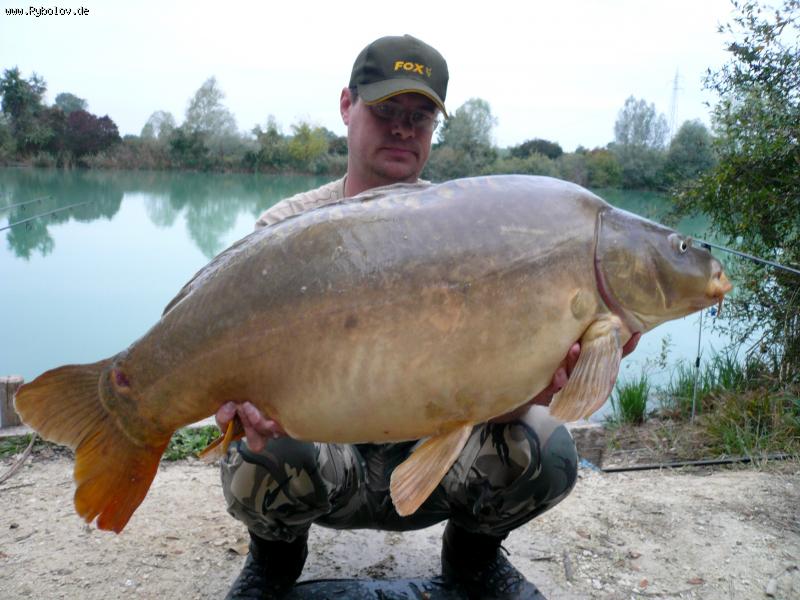 --���� 16,5 ��. - ������� (����������)