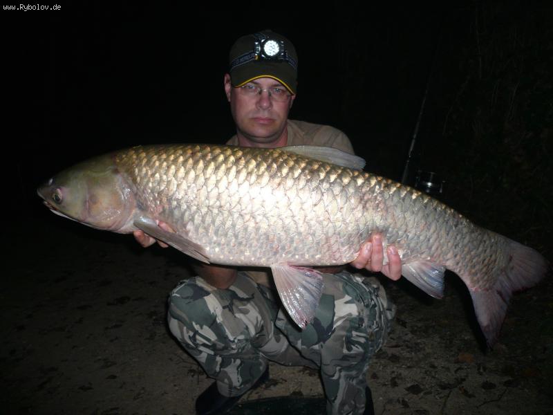 --���� 10 ��. - ������� (����������)