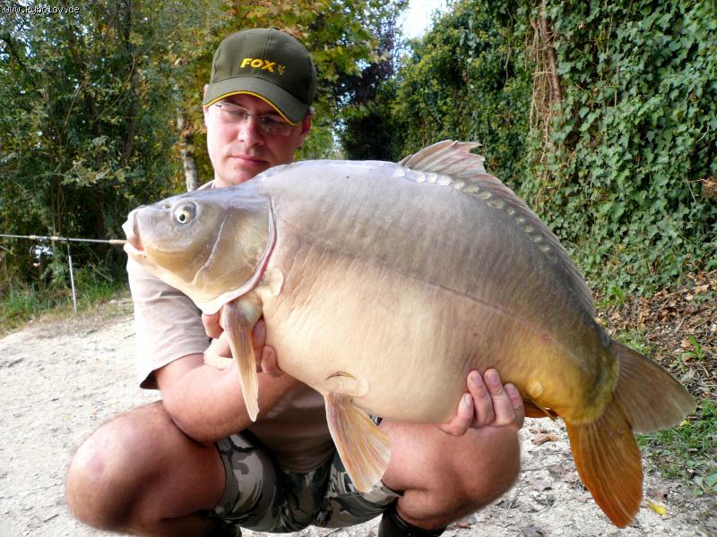 --���� 10 ��. - ������� (����������)