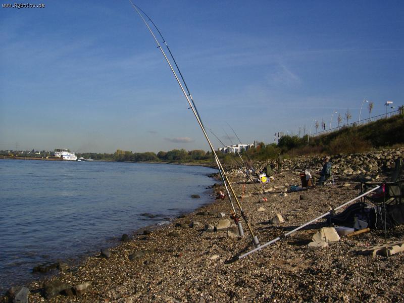 --Subbota-20.10.07 Rhein - рыбалка (фотоальбом)