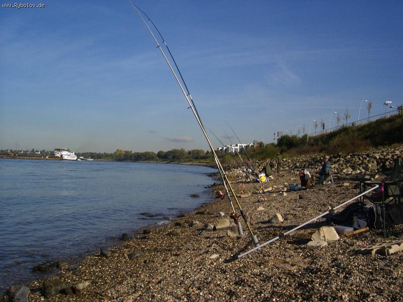 --Subbota-20.10.07 Rhein -  ()