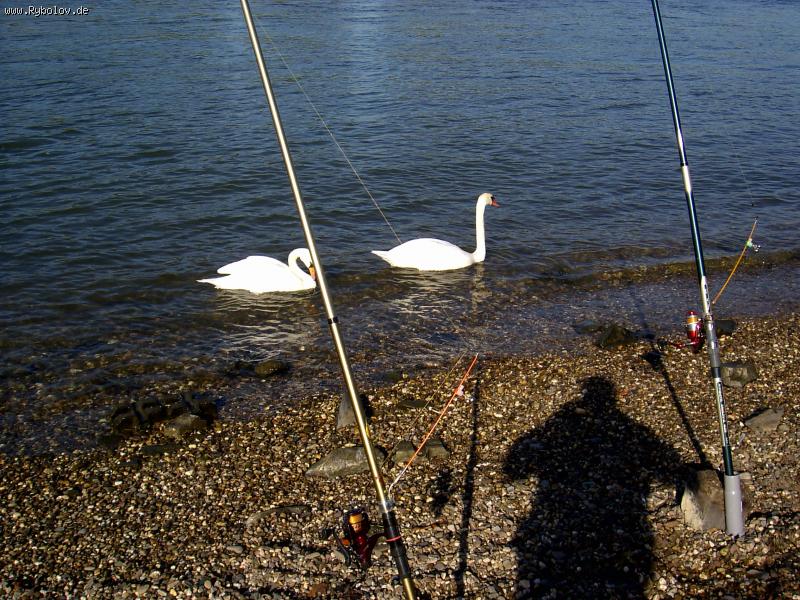 --�������� � �������� - ������� (����������)