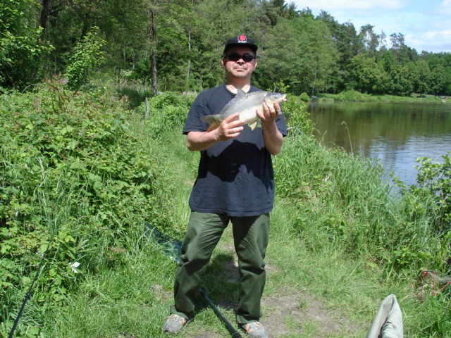 --Gro&#223;er Hofsee -  ()