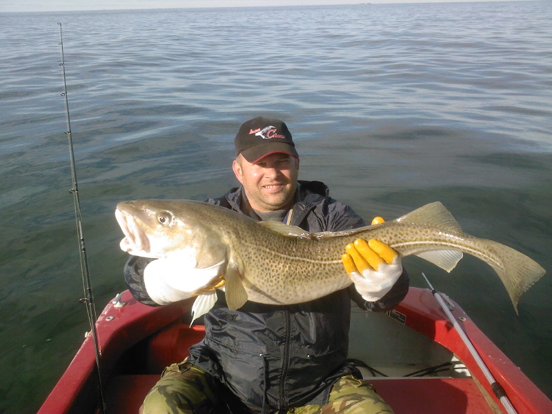 --Dorsch - ������� (����������)