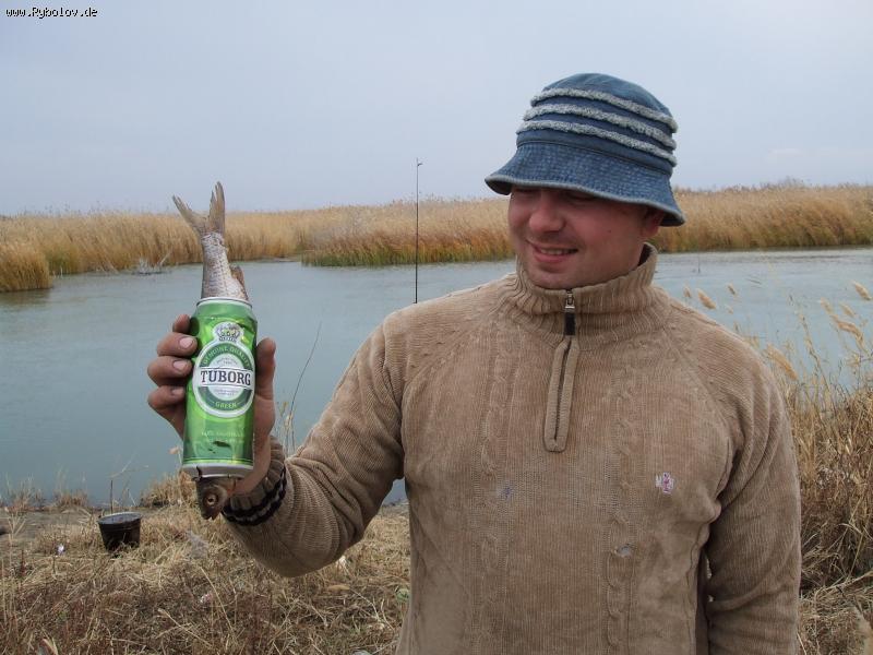 --Reklama - ������� (����������)