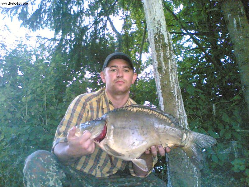 --Karp 5,5 kg -  ()