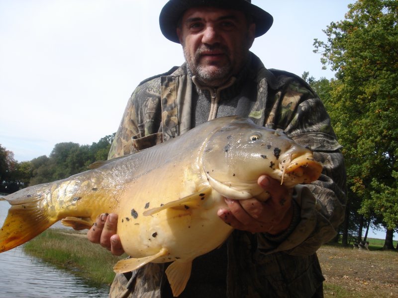 --��������� - ������� (����������)