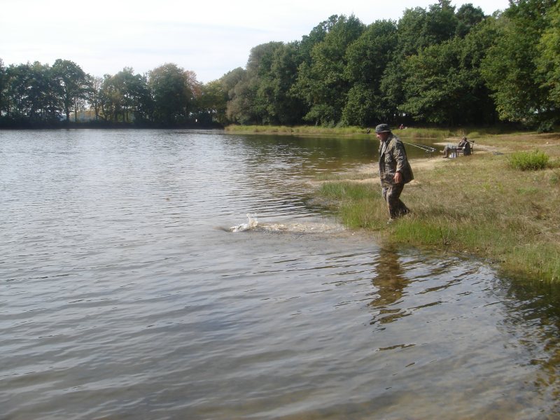 --������� �������� - ������� (����������)