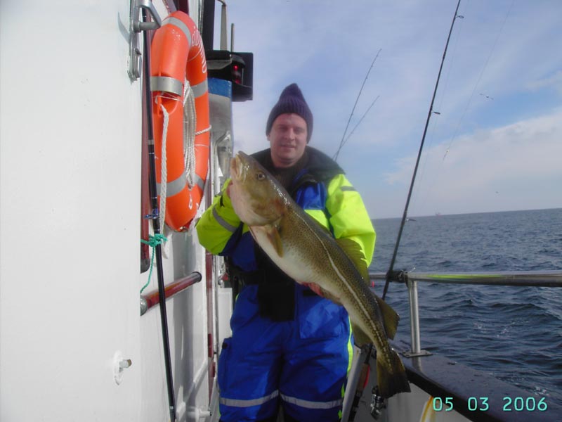 --Dorsch - ������� (����������)