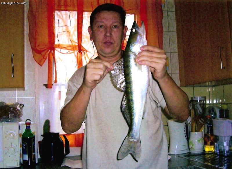 --������� 52 - ������� (����������)