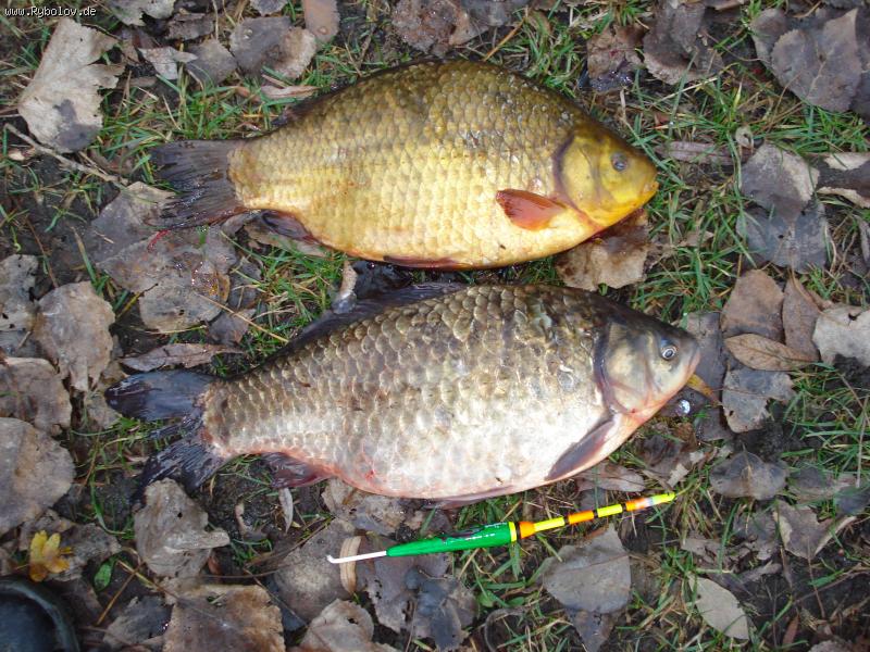 --������ - ������� (����������)