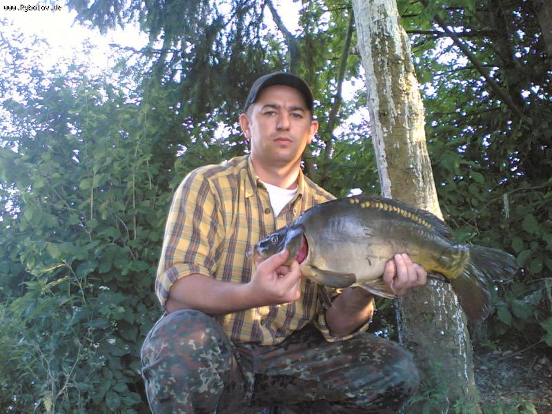 --Karpik - ������� (����������)