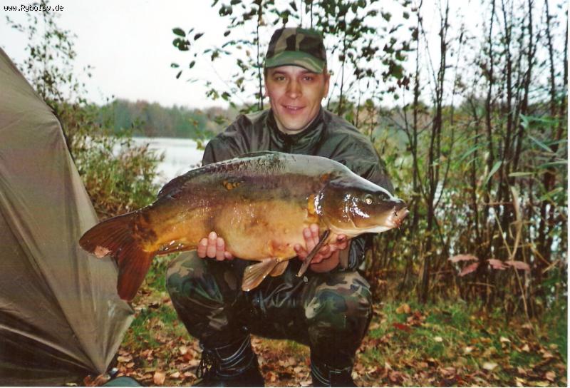 --����� ���� ������ ������ - ������� (����������)