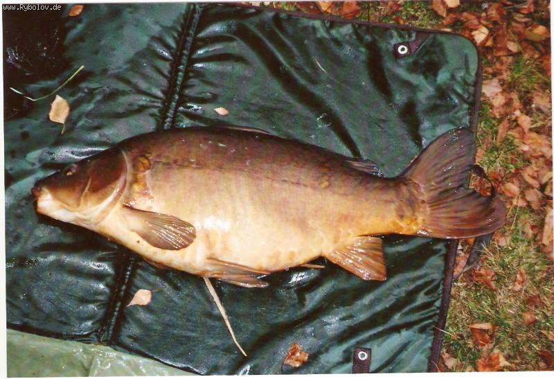 --���� - ������� (����������)