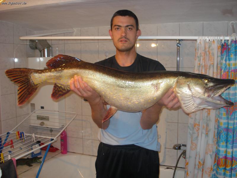 --��� ��� ���� - ������� (����������)