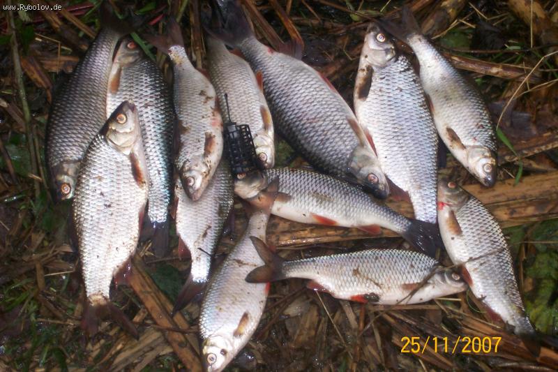 --������ ������� �� Siege 2 - ������� (����������)