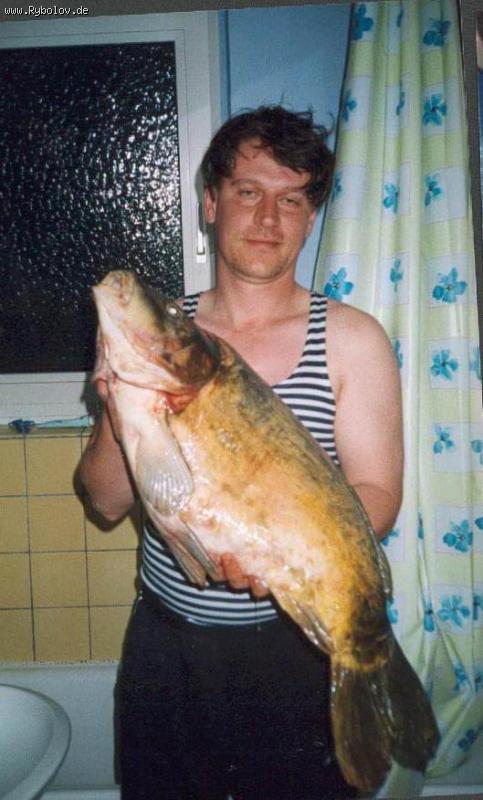 --Karp - ������� (����������)