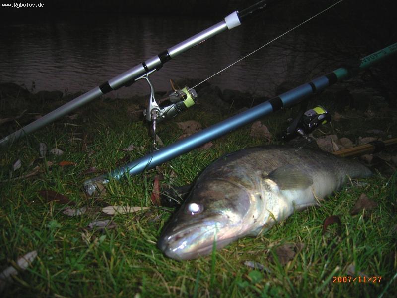 --������� ����� ������ - ������� (����������)