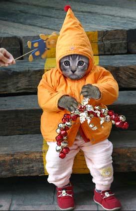 --moi sosed - ������� (����������)