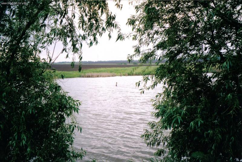 --����� ���� ������� ���� - ������� (����������)