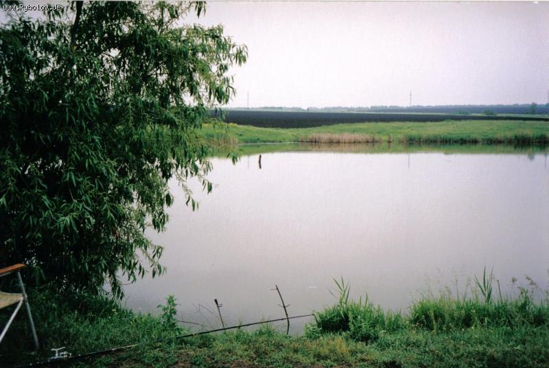 --�� ����� � �������. - ������� (����������)