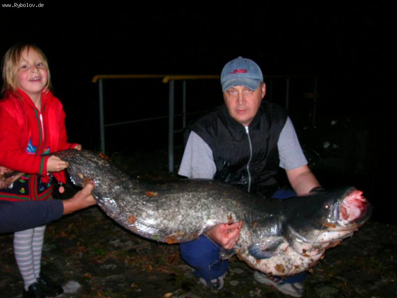 -- , , ,  DAM Effzett -  ()