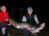  , , ,  DAM Effzett -  ()