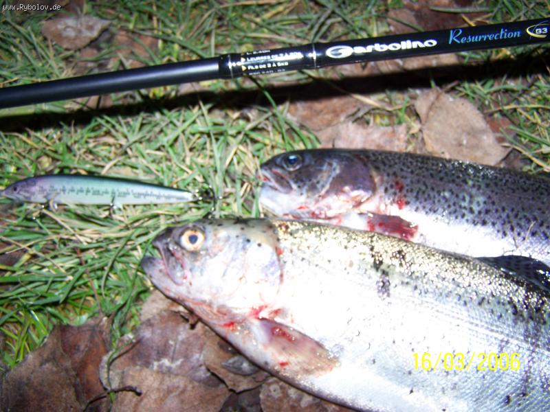 --������ ����� Garbolino Resurrection - ������� (����������)