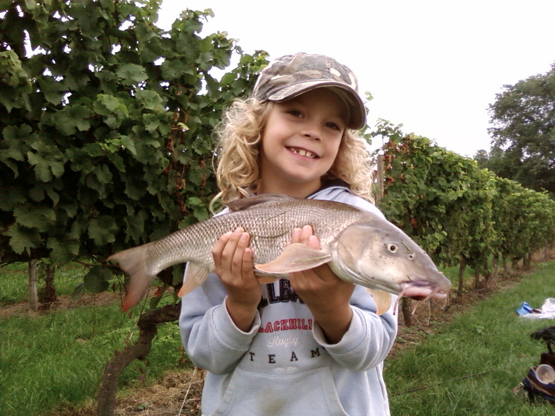 --���� � ����� - ������� (����������)