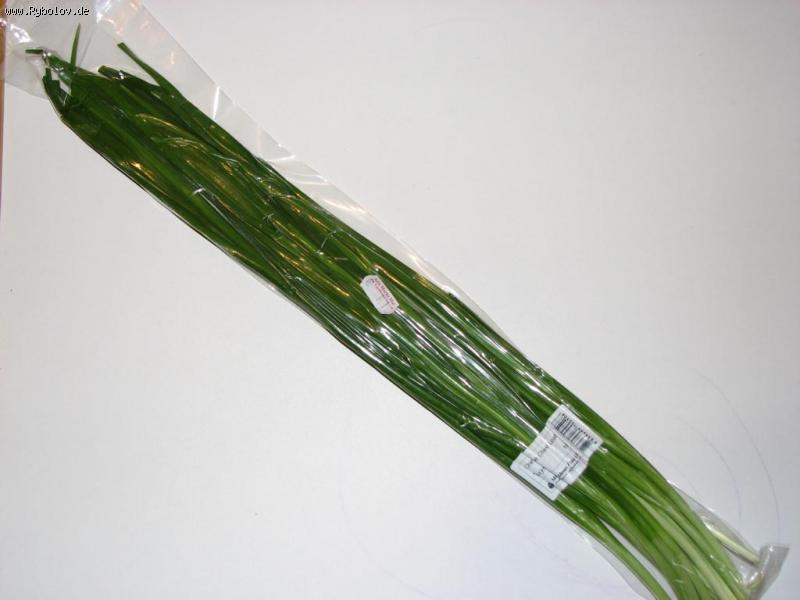 --������ - ������� (����������)