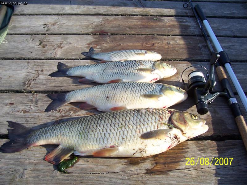 --�������� ������� (����) - ������� (����������)