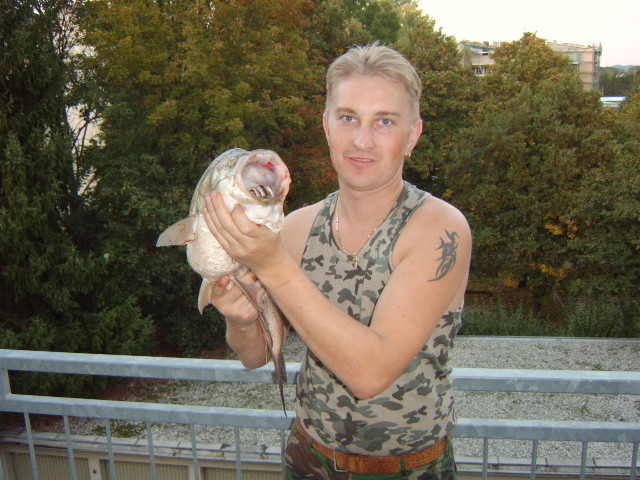 --����� � ����� - ������� (����������)