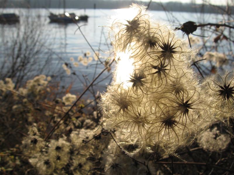 --����.�������.����. - ������� (����������)