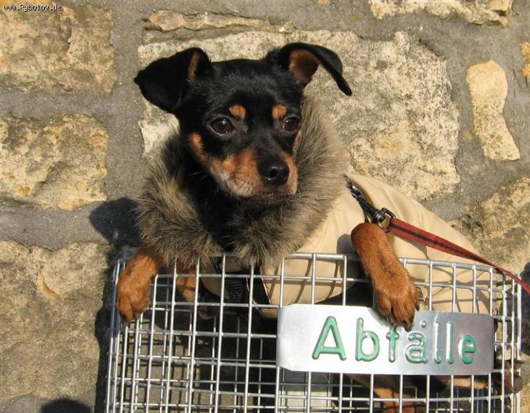 --�������� ��������. - ������� (����������)