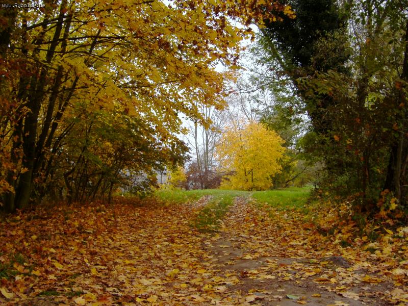 --������ ��������� ���� - ������� (����������)