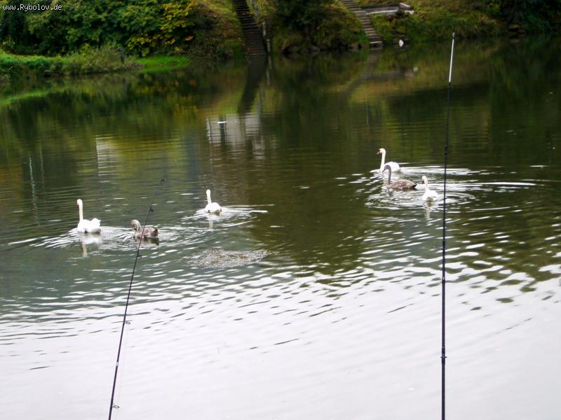 --����� - ������� (����������)