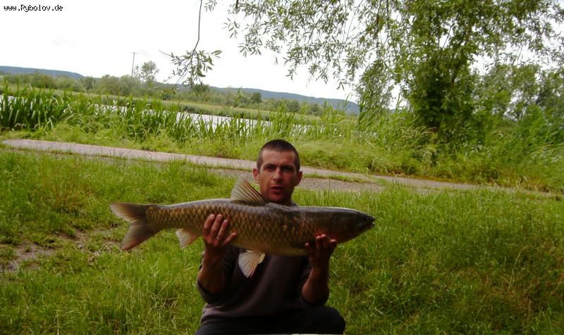 --��� ���� ��������� �� 11�� - ������� (����������)