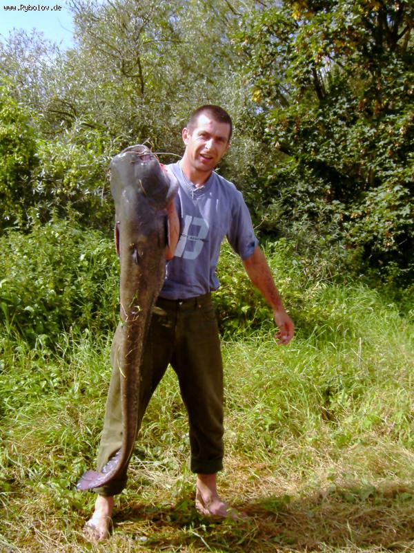 --����� (�� ���������) - ������� (����������)