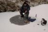 Зимние поласатики - рыбалка (фотоальбом)