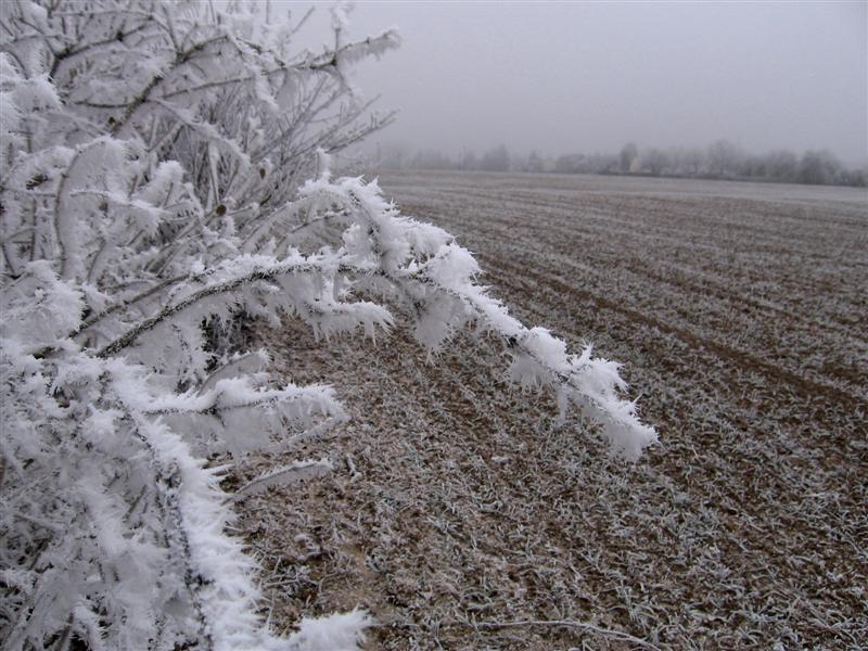 --���� � ����. - ������� (����������)