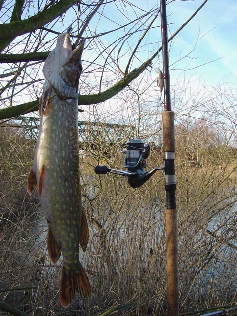 --���������� ����-2 - ������� (����������)