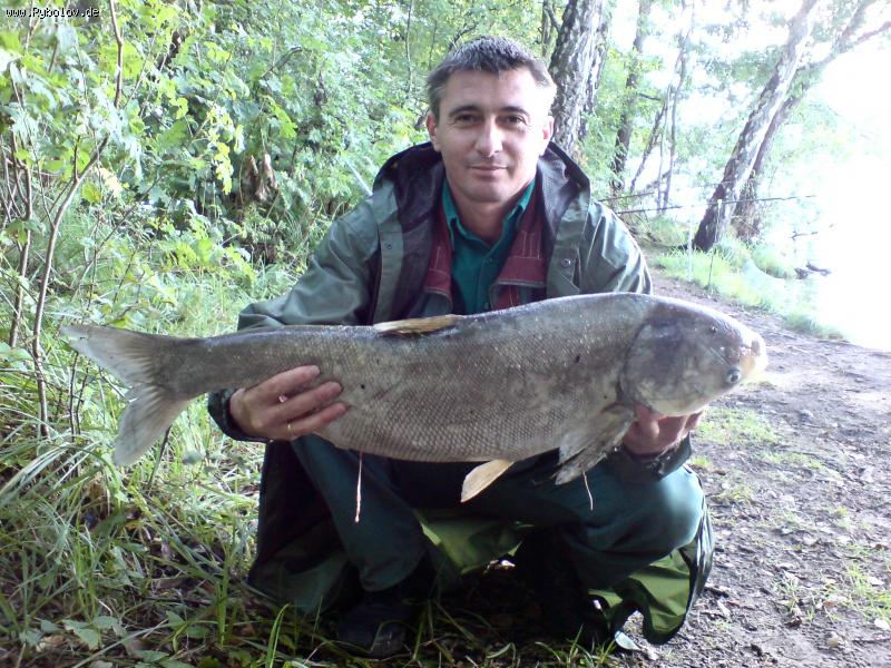 --����������� - ������� (����������)