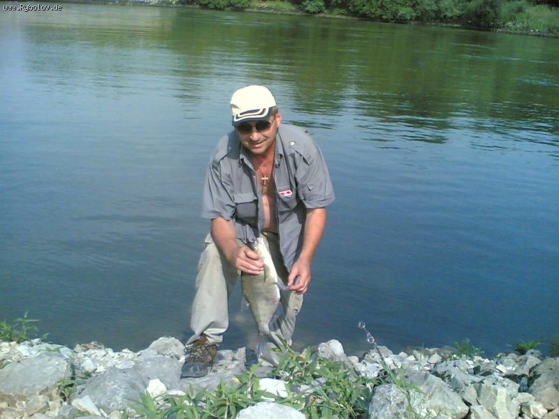--Lesch poimani w Donau -  ()