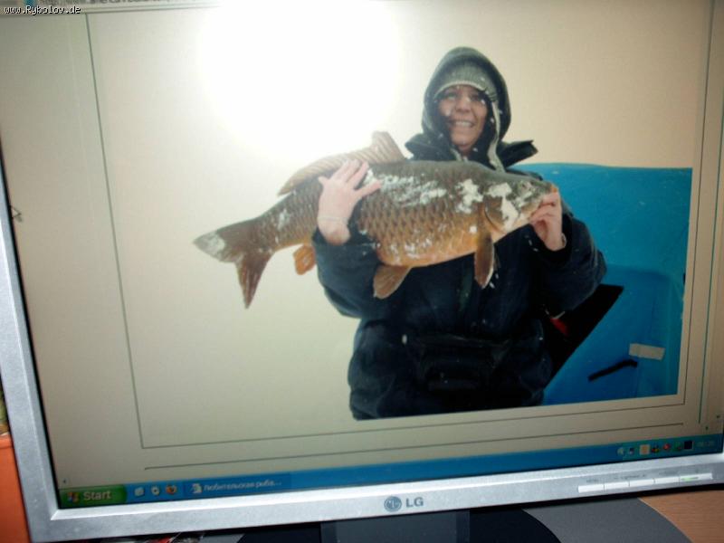 --Zimnii karp - ������� (����������)