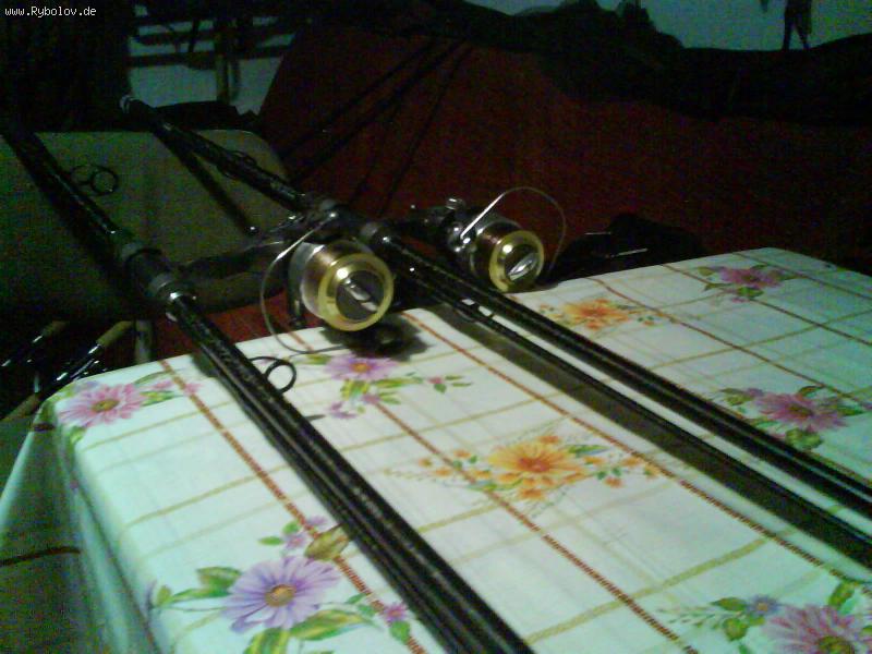 --Shimano -  ()