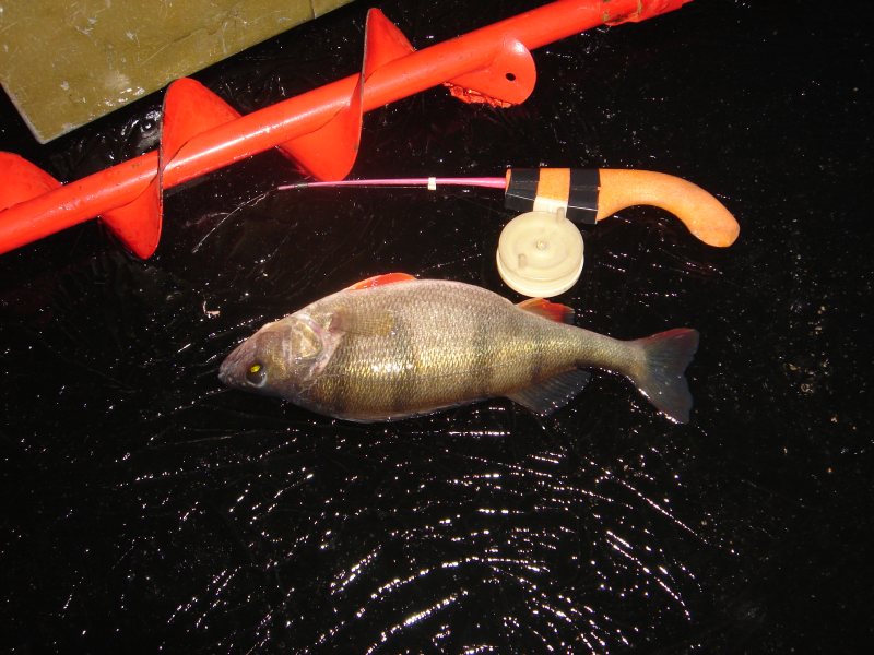 --������ ����� - ������� (����������)