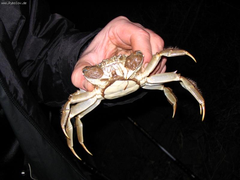 --����  ����� 1 - ������� (����������)