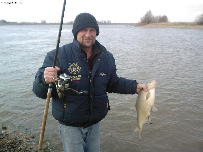 --Na Rheine -  ()