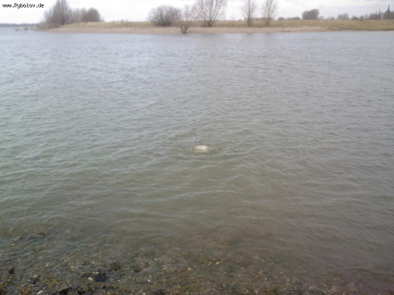 -- Brassen na Rheine -  ()